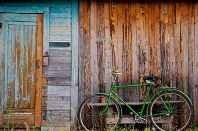 horse refuse to give birth