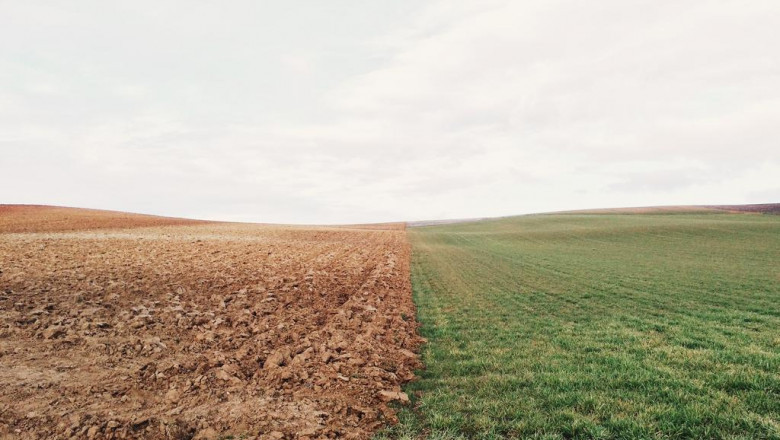 accountant join accounting software program