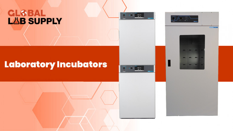 Buying Lab Incubators Online? Consider These Facts First
