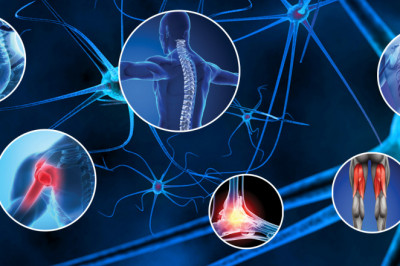 Chronic Pain is Thought to Develop When Nerves are Damaged