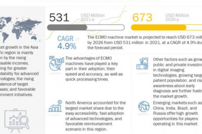 ECMO Machine Market Leading Players and Business Trends