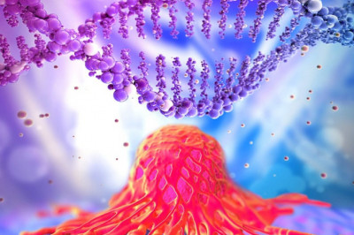 Gene Panels Can be Used to Efficiently Diagnose a Wide Range of Genetic Disorders