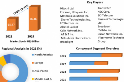 Global GPON Equipment Market Development, Future Scope And Forecast to 2029