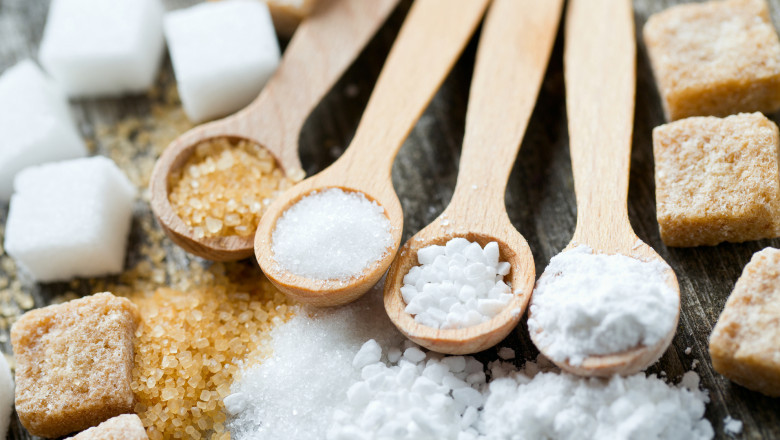 Global sugar-based excipients market trends, shares, size, growth, opportunity, and forecasts to 2022-2028