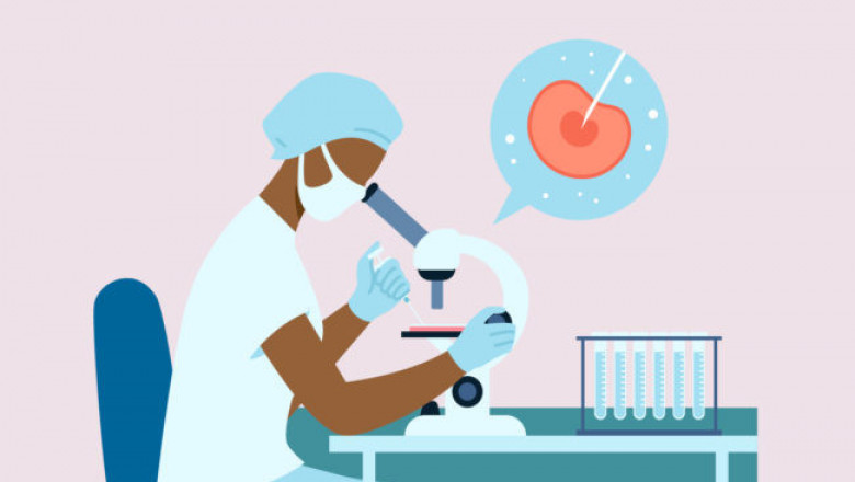 In Vitro Fertilization (IVF) | Conditions & Treatments