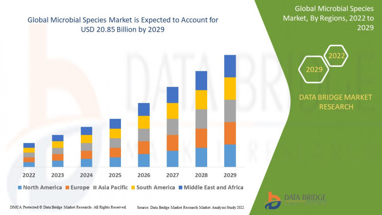 Microbial Species Market Growing Popularity and Growing Traffic Research Report by DBMR