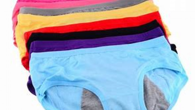 Period Panties Market Competitive Landscape and its Industry Growth Prospect By 2028