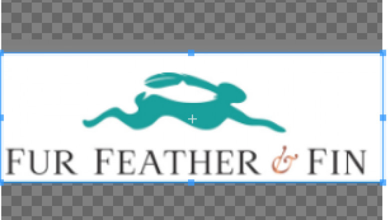 Country clothing and Footwear brands- Fur Feather and Fin