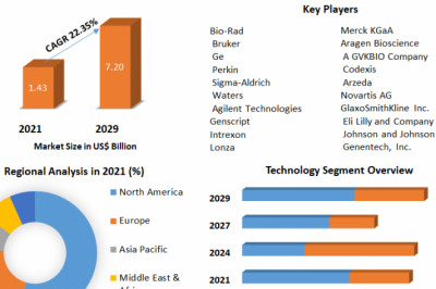 Global Protein Engineering Market Growth, Trend, Segmentation And Forecast to 2029