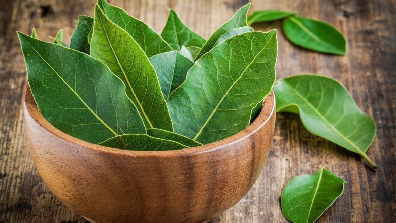 Health Benefits Of Bay Leaf Have Made It A Popular Ingredient In Many Cuisines