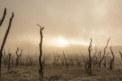 personal injury lawyer accident lawyers woodstock full service law firm