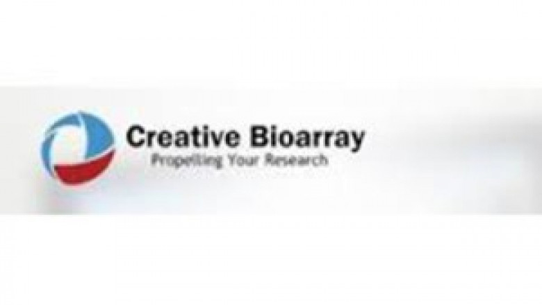 Creative Bioarray