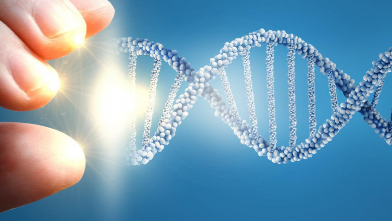 Discreet Paternity Test - How to Secretly Do a DNA Paternity Test