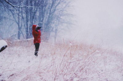 forex broker poll of the day