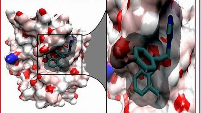 Galectin Inhibitor Therapeutics Market 2022 Research Report | Industry Size & Share to 2028
