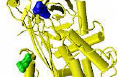 Global Antithrombin Market Report, Latest Trends, Industry Opportunity & Forecast to 2028