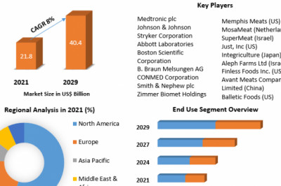 Global Minimally Invasive Surgical Instruments Market Size, Share, Business Strategies And Forecast to 2029