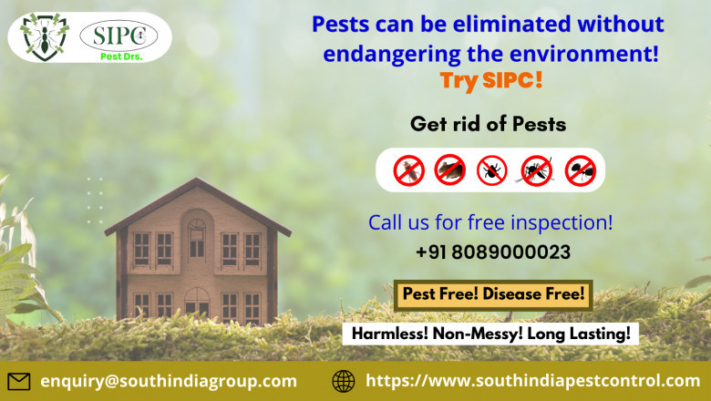 Rodent Control Bangalore