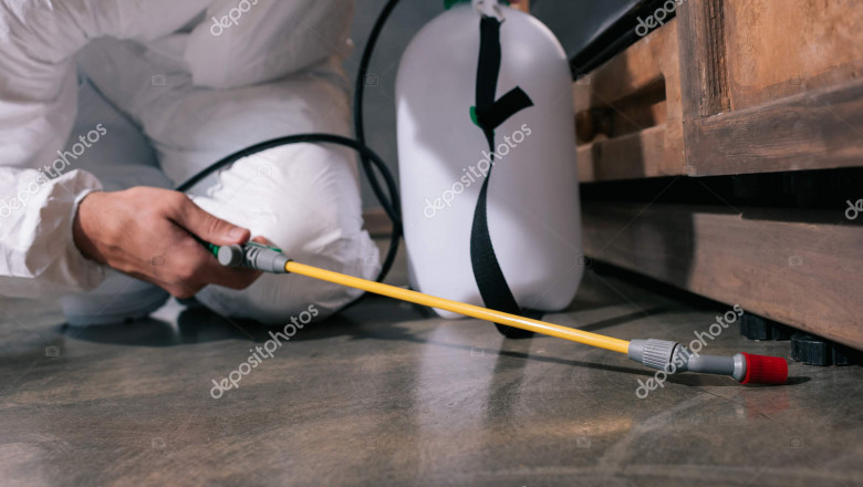 The Top Ten Pest Control Tips For Your Home