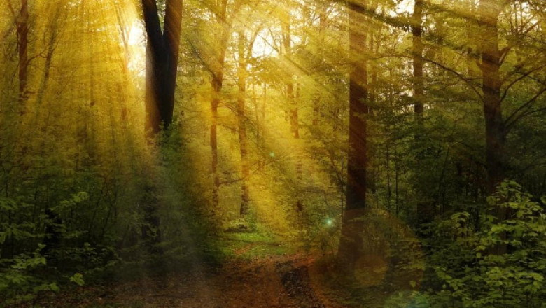 Vet du hur man för ett bra samtal med din terapeut i Stockholm?