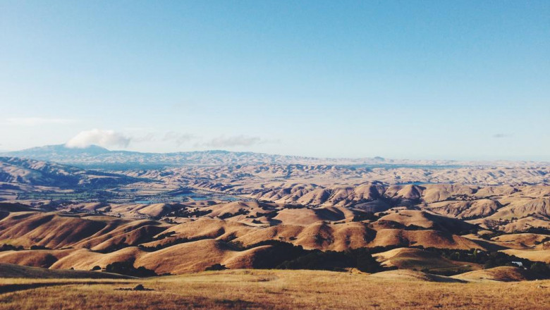 20 gifts you can give your boss if they love daeyeogyejwa