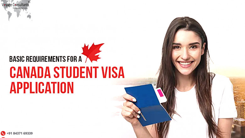 Do You Need Advice on VISA Selection?