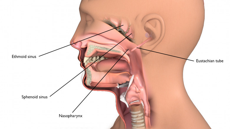 In today's world, hypopharyngeal cancer treatment is usually treated with chemotherapy or radiation