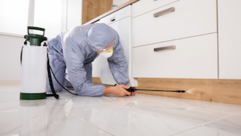 Pest control services offered by hometriangle