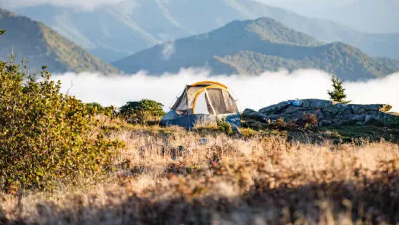 Remote Life - How to build a large business while traveling off-grid, Broncoverlande