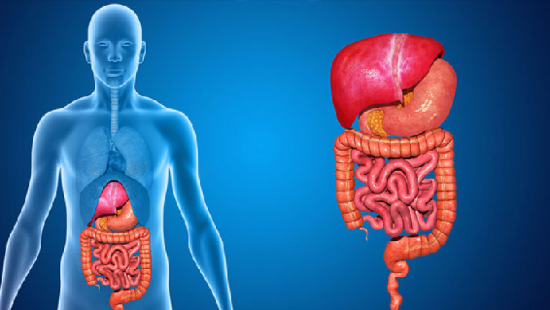 The Benefits of Consulting Of Gastro Surgeon