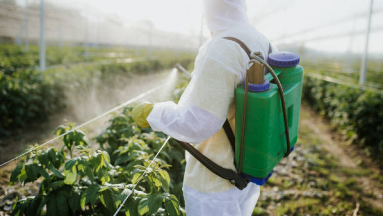 How to clean your home of pests without using harsh chemicals
