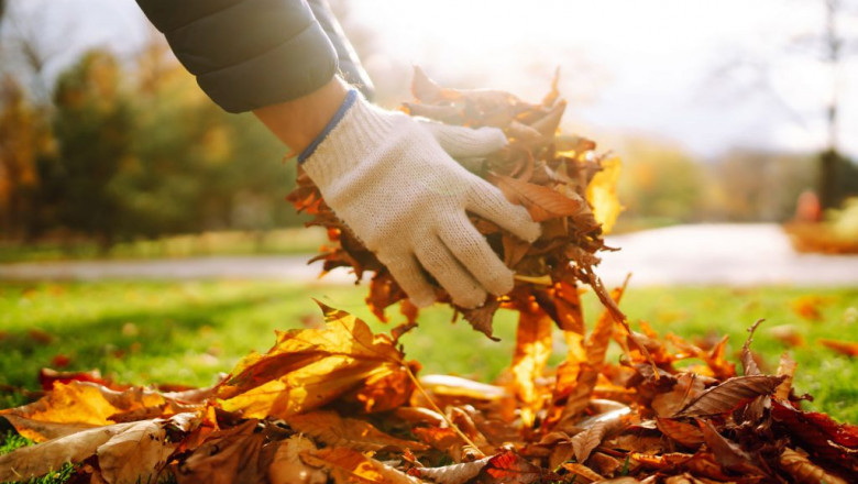 How to Get Your Yard Ready for Winter with a Fall Lawn Service