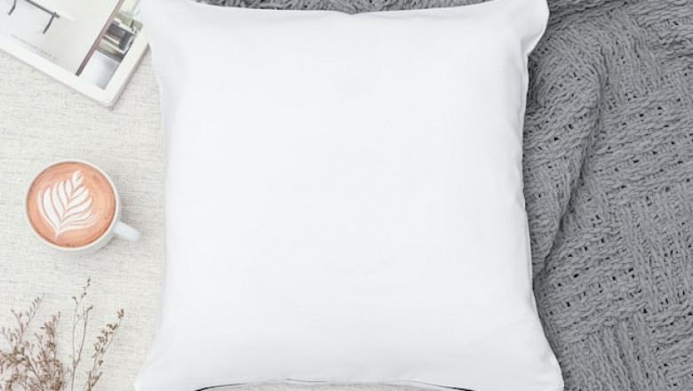 Searching For A Modest Body Pillow?