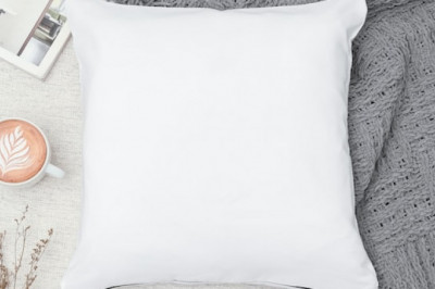 Searching For A Modest Body Pillow?