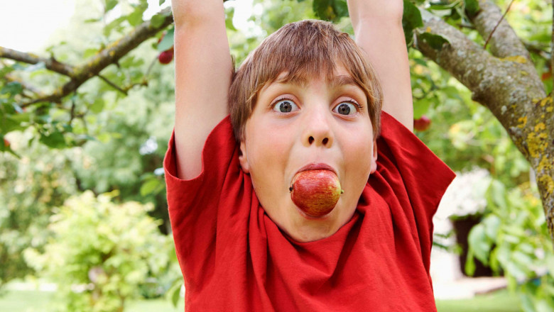 Discuss the top 4 tips to raise your wild kid