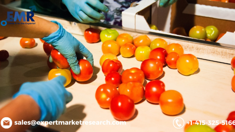 Latin America Tomato Processing Market