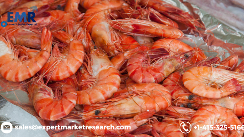 United States Shrimps Market