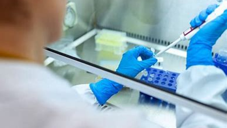 Veterinary Antimicrobial Susceptibility Testing Market 2022 | Industry Demand, Fastest Growth, Opportunities Analysis and Forecast To 2028