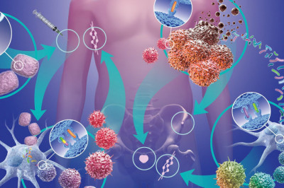 What are the Causes of Graft Versus Host Disease (GvHD)?
