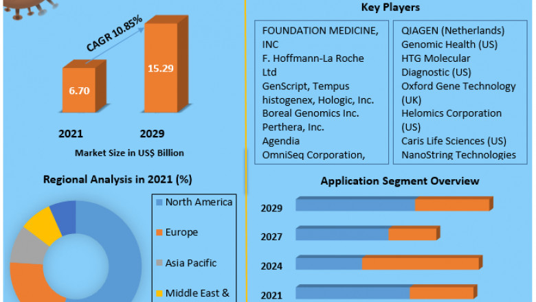 Cancer/Tumor Profiling Market Competitive Landscape, Production Report Analysis to 2029