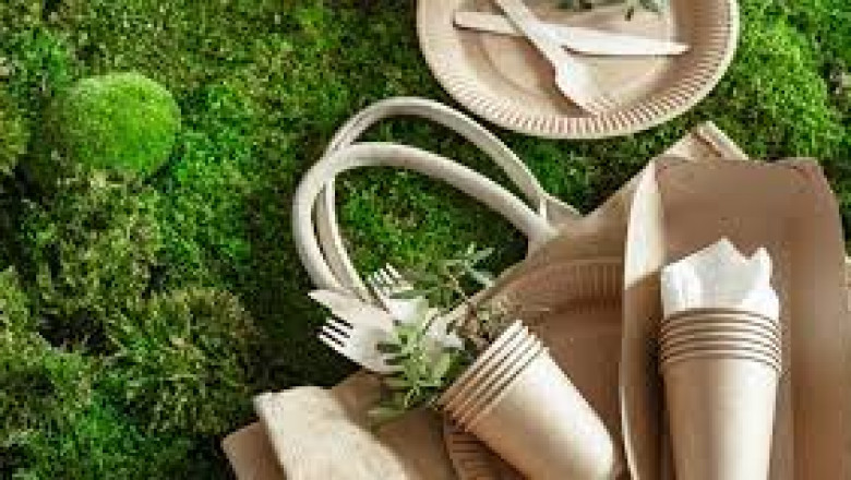 Green Packaging Market Size, Status, Growth | Industry Analysis Report 2020-2028