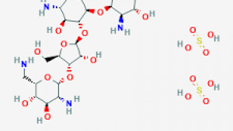 Neomycin Sulfate Market Size, Key Players Analysis And Forecast To 2028 | Value Market Research