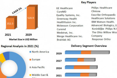 Orthopedic Software Market Growth, Trends, Leading Players And Business Insights Forecast To 2029