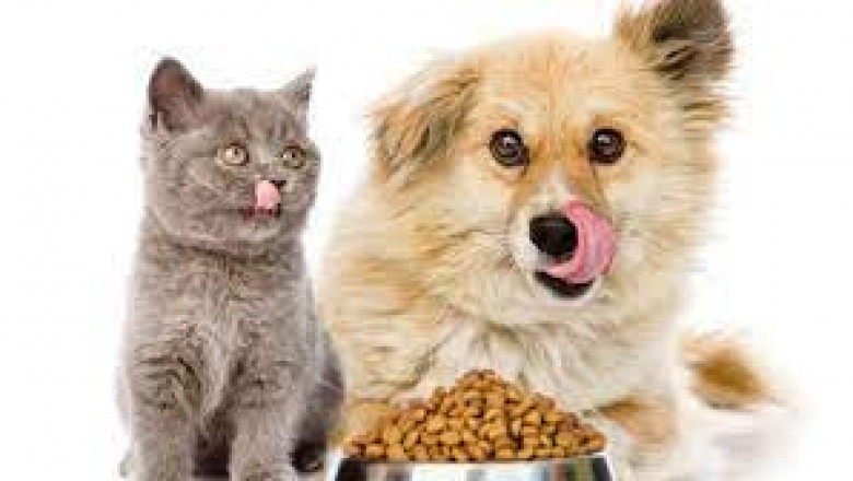 Pet Food Market Share, Revenue and Growth Analysis Report Till 2028 | Value Market Research