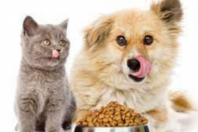 Pet Food Market Share, Revenue and Growth Analysis Report Till 2028 | Value Market Research