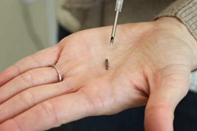 What Exactly is Biohacking