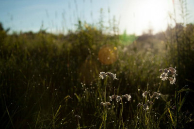 5 qualities the best people in the lake worth fl airbnb industry tend to have