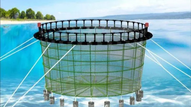 Fishing Net and Aquaculture Cage Market Business Development Factors, Current Trends, and Future Outlook Through 2028