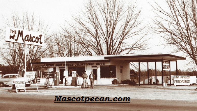 Fresh pecans georgia