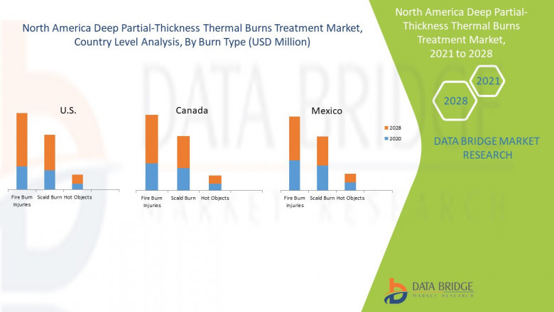 North America Deep Partial-thickness Thermal Burns Treatment Market current and Future Growth